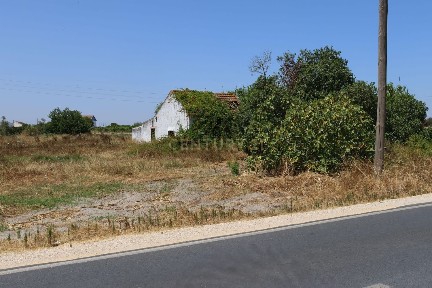 Quinta à venda na Estrada do Rego da Amoreira s/n