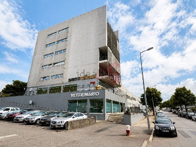 Arrendamento de escritório na Rua Primavera, 16
