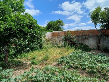 Grândola, Setúbal