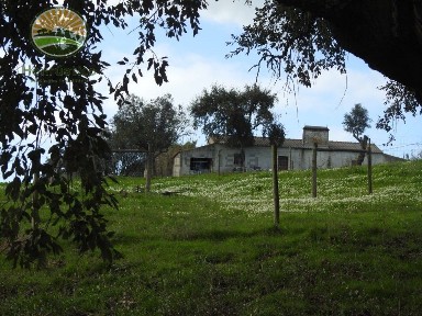 Santiago do Cacém, Setúbal