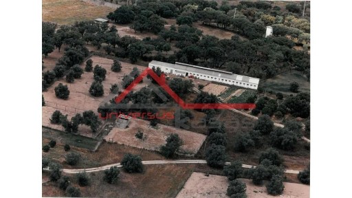 Herdade à venda na Manteigadas - Cachofarra - Vila Maria