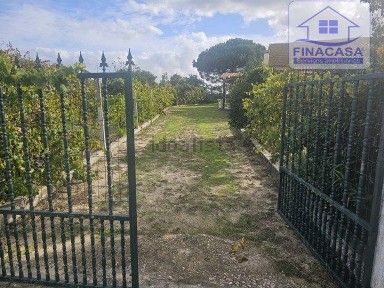 Quinta à venda em Poceirão e Marateca