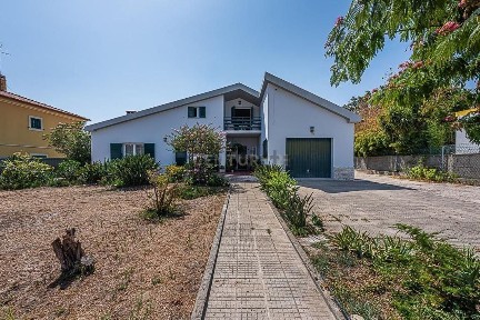 Palmela, Zona Oeste, Rua do Comércio, Brejos do Assa, 33