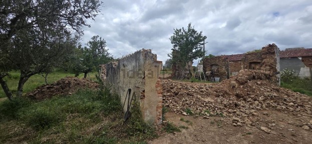 Grândola, Setúbal