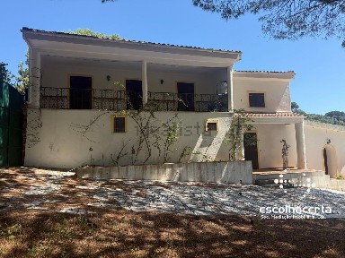 Quinta à venda na Rua António Severino de Matos