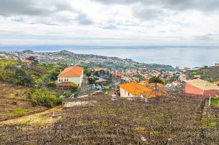 Estreito Câmara de Lobos, Caminho do Ernesto, 4