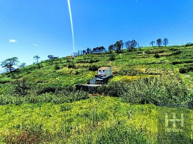 Armazém à venda no Caminho da Treziada