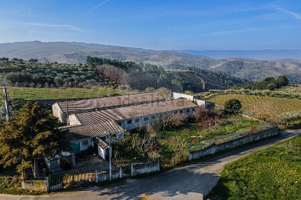 São João da Pesqueira, Viseu