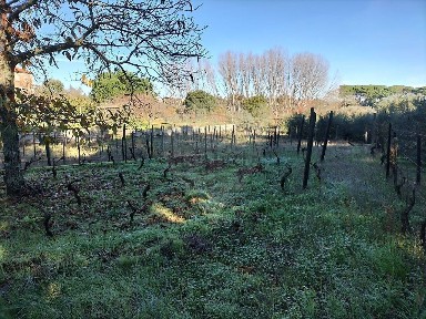 Armazém à venda em Lajeosa do Dão