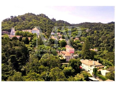 Arrendamento de moradia independente na Vila de Sintra - Monserrate