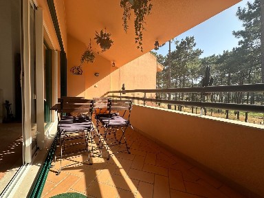 Arrendamento de apartamento T1 na Rua dos Pinheiros