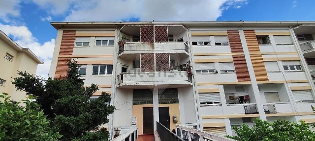 Santo António dos Olivais, Celas, Rua Nicolau Chanterenne