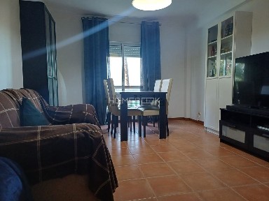 Arrendamento de apartamento T3 na Brejoeira - Pinhal de Negreiros