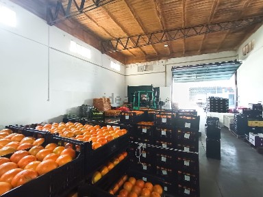 Comércio para trespasse em Santa Eufémia e Boa Vista
