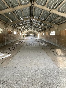 Arrendamento de armazém em Batalha
