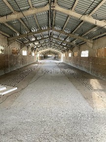 Arrendamento de armazém em Batalha