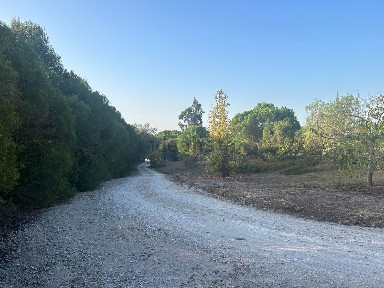 Arrendamento de moradia independente em Herdade do zambijeiro