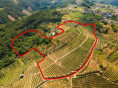 Quinta à venda na Rua da Toutinheira, 2