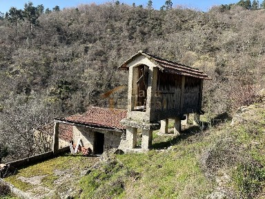 Quinta à venda na Rua da Portela