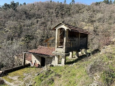 Quinta à venda na Rua da Portela