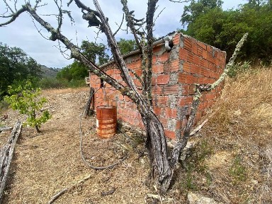 Quinta à venda em Nogueira e Ermida