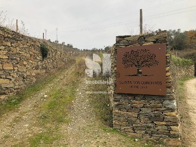 Quinta ou casa rústica à venda em Peso da Régua