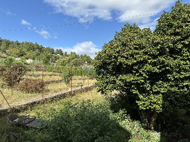 Sabrosa, Vila Real