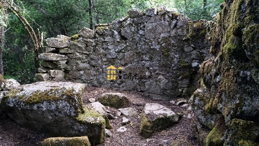 Tinhela