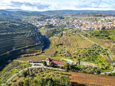 Santa Eugénia, Rua Maria da Natividade Carvalho