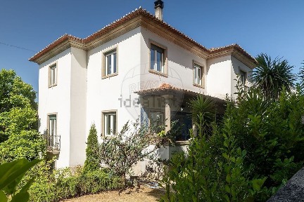 Vila Real, Rua Dom Pedro de Castro