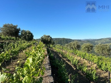 Quinta à venda em Adoufe e Vilarinho de Samardã