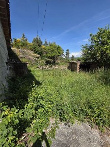 Atei, Rua de Bormela