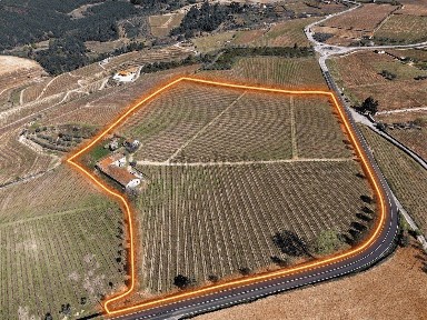 Favaios, Quinta da arufe, 130