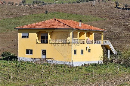 Peso da Régua, Avenida Diocese de Vila Real