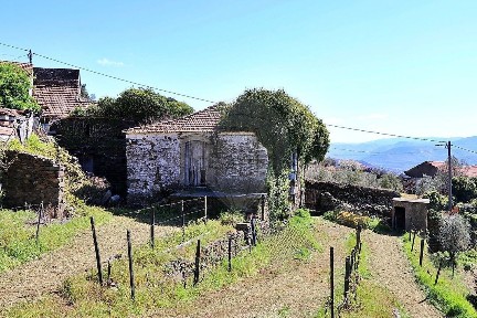 Mesão Frio, Vila Real