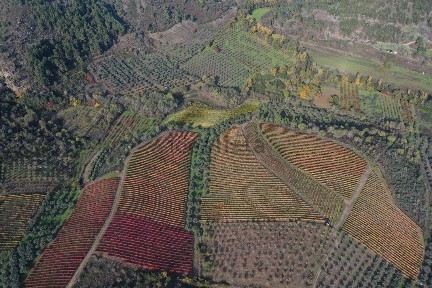 Herdade à venda em Fonte do Prado s/n