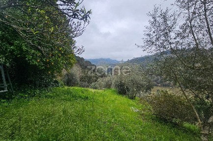 Herdade à venda na Rua do Monte