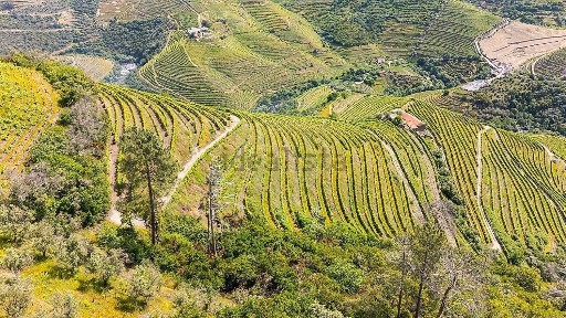 Quinta à venda em Nogueira e Ermida