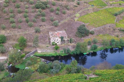 Quinta à venda em N313