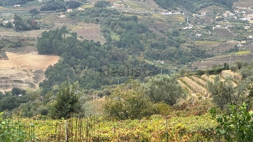 Peso da Régua, Vila Real