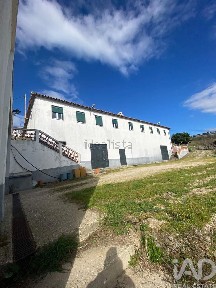 Peso da Régua, Vila Real