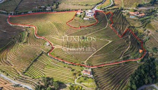 Quinta à venda em Santa Cristina