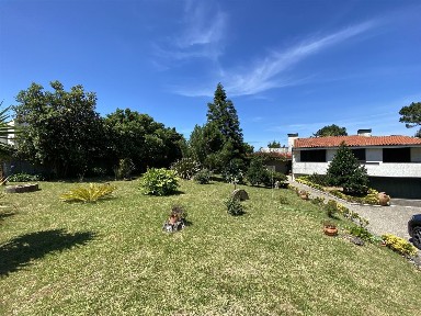 Arrendamento de moradia independente na Rua Fontes Pereira de Melo, 482