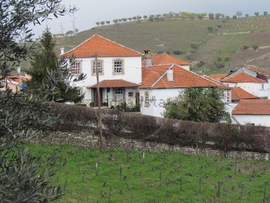 Quinta à venda em São Miguel