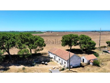 Quinta à venda em São Teotónio