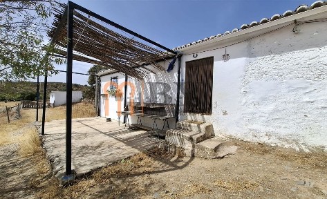 São Miguel do Pinheiro - São Pedro de Solis - São Sebastião dos Carros, Horta dos Alhos