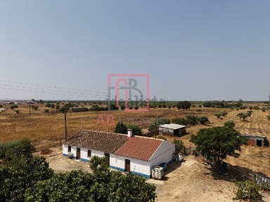 Ferreira do Alentejo, Beja