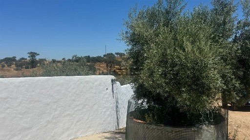 Quinta à venda em Ourique