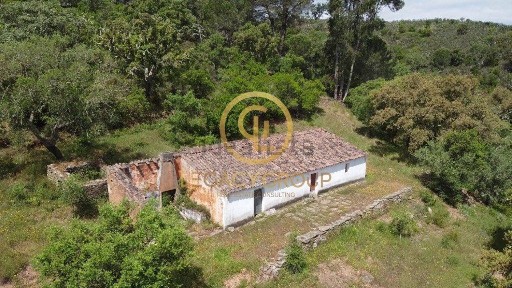 São Martinho das Amoreiras, Sem nome
