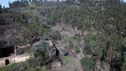 Odemira, Beja